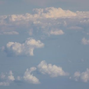 Meet your Posher, Tenzing